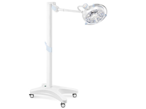 LAMPADA SCIALITICA PENTALED 30E - su piantana