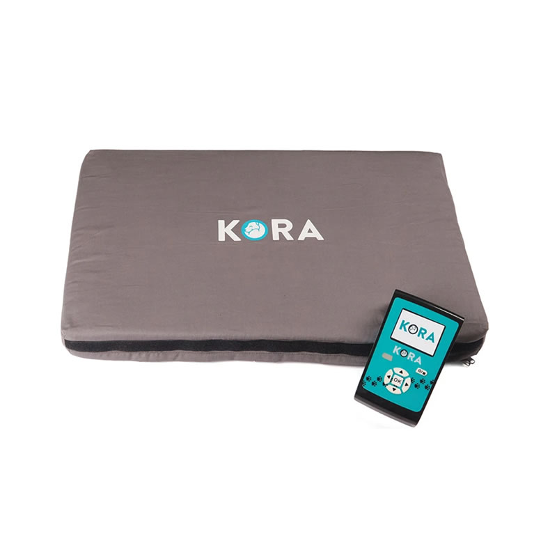 MAGNETOTERAPIA VETERINARIA KORA – KIT BASE – I-TECH