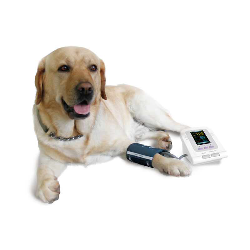 MISURATORE DI PRESSIONE PER ANIMALI cane